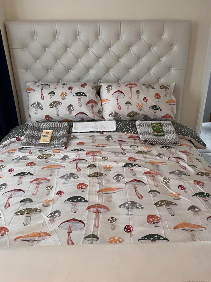 لندن Home From Home Cosy B&B المظهر الخارجي الصورة